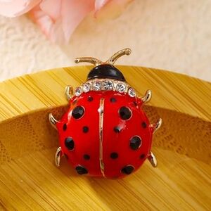 NEW!  Chic Ladybug Brooch